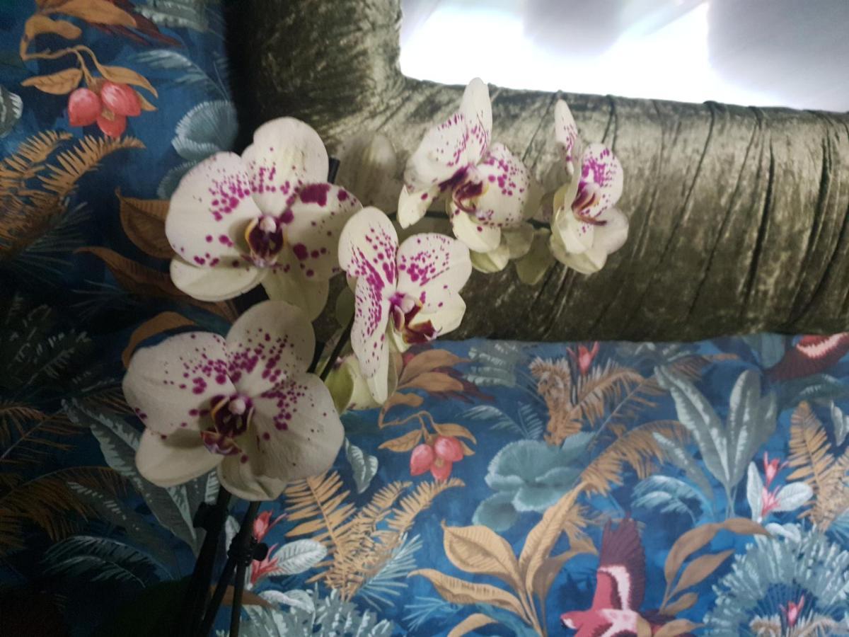 גיברלטר Jasmine Coral Jay Boutique Boatel Ocean Village מראה חיצוני תמונה