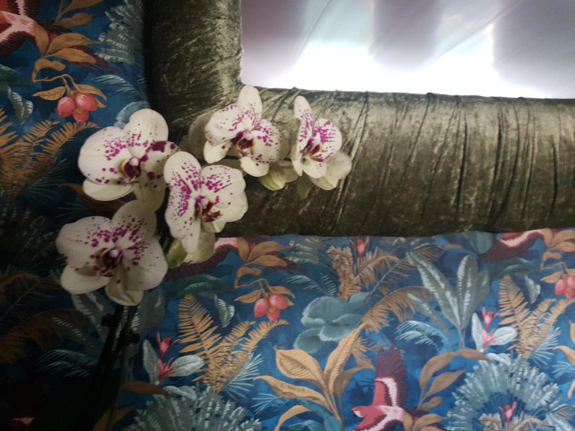 גיברלטר Jasmine Coral Jay Boutique Boatel Ocean Village חדר תמונה